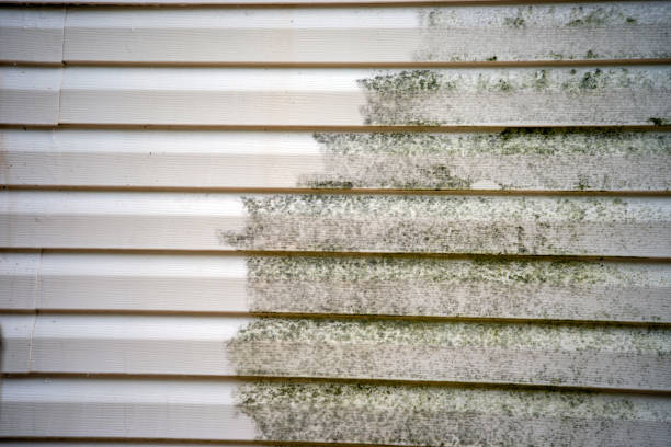 Best Residential Vinyl Siding Installation  in Arroyo Grande, CA