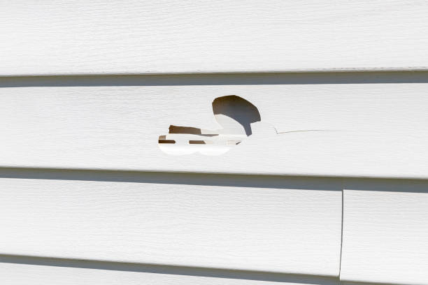 Trusted Arroyo Grande, CA Siding Installation & Repair Experts