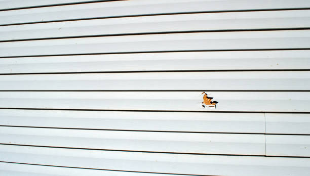 Affordable siding repair and maintenance services in Arroyo Grande, CA